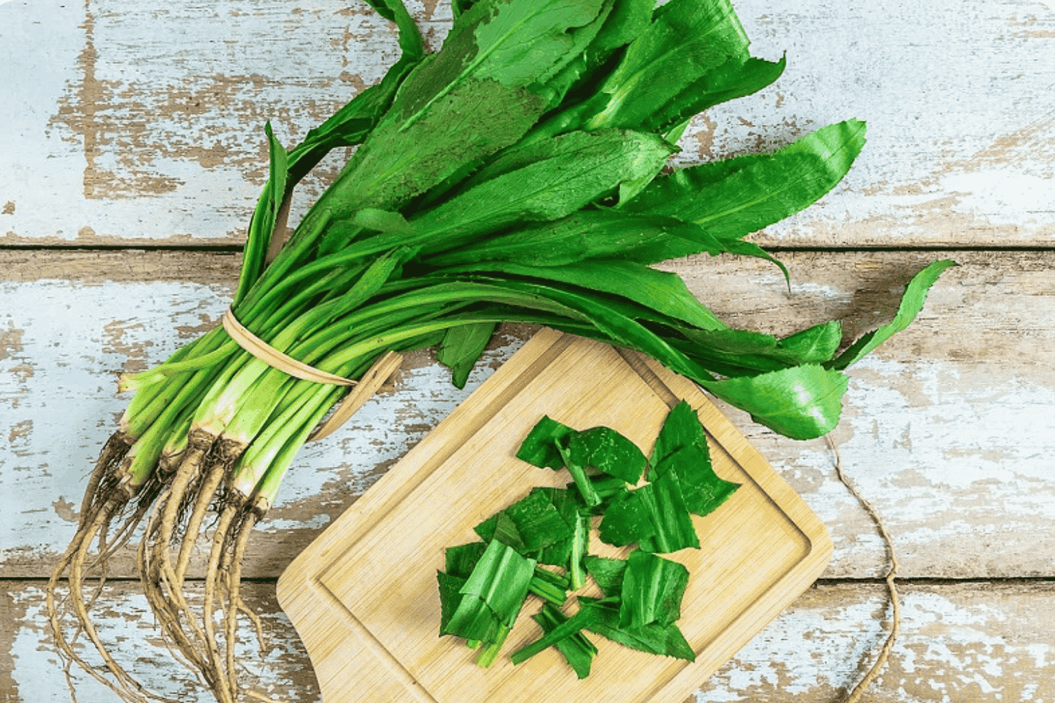 Ngò Gai - Hương Vị Đặc Trưng Của Ẩm Thực Việt