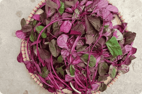 Rau Dền - Sắc Xanh Bổ Dưỡng Của Ẩm Thực Việt