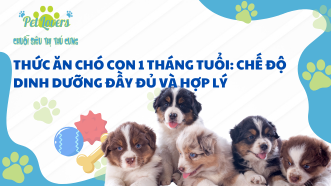 Thức Ăn Chó Con 1 Tháng Tuổi: Chế Độ Dinh Dưỡng Đầy Đủ Và Hợp Lý