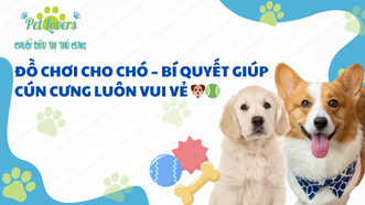 Đồ Chơi Cho Chó – Bí Quyết Giúp Cún Cưng Luôn Vui Vẻ 🐶🎾