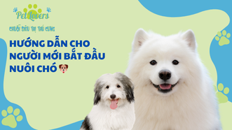 HƯỚNG DẪN CHO NGƯỜI MỚI BẮT ĐẦU NUÔI CHÓ 🐶