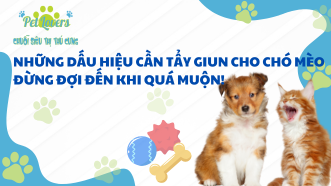 Những Dấu Hiệu Cần Tẩy Giun Cho Chó Mèo – Đừng Đợi Đến Khi Quá Muộn!