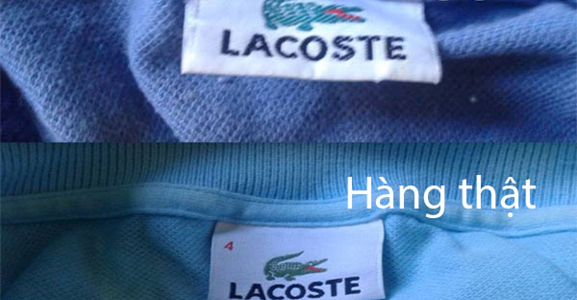 6 dấu hiệu nhận biết áo lacoste thật giả bạn đã biết chưa?