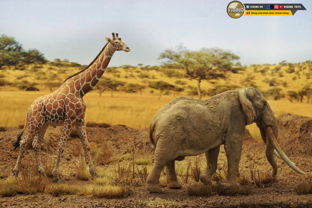 Những hình ảnh sáng tạo về bộ môn sưu tầm mô hình ( Part 1).