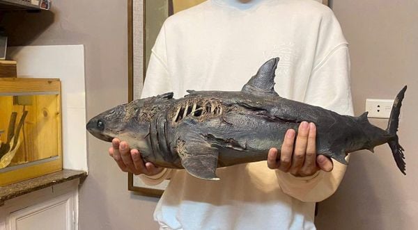 Một vài đánh giá của khách hàng về Vidino Toys Store.