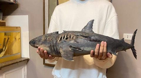 Một vài đánh giá của khách hàng về Vidino Toys Store.