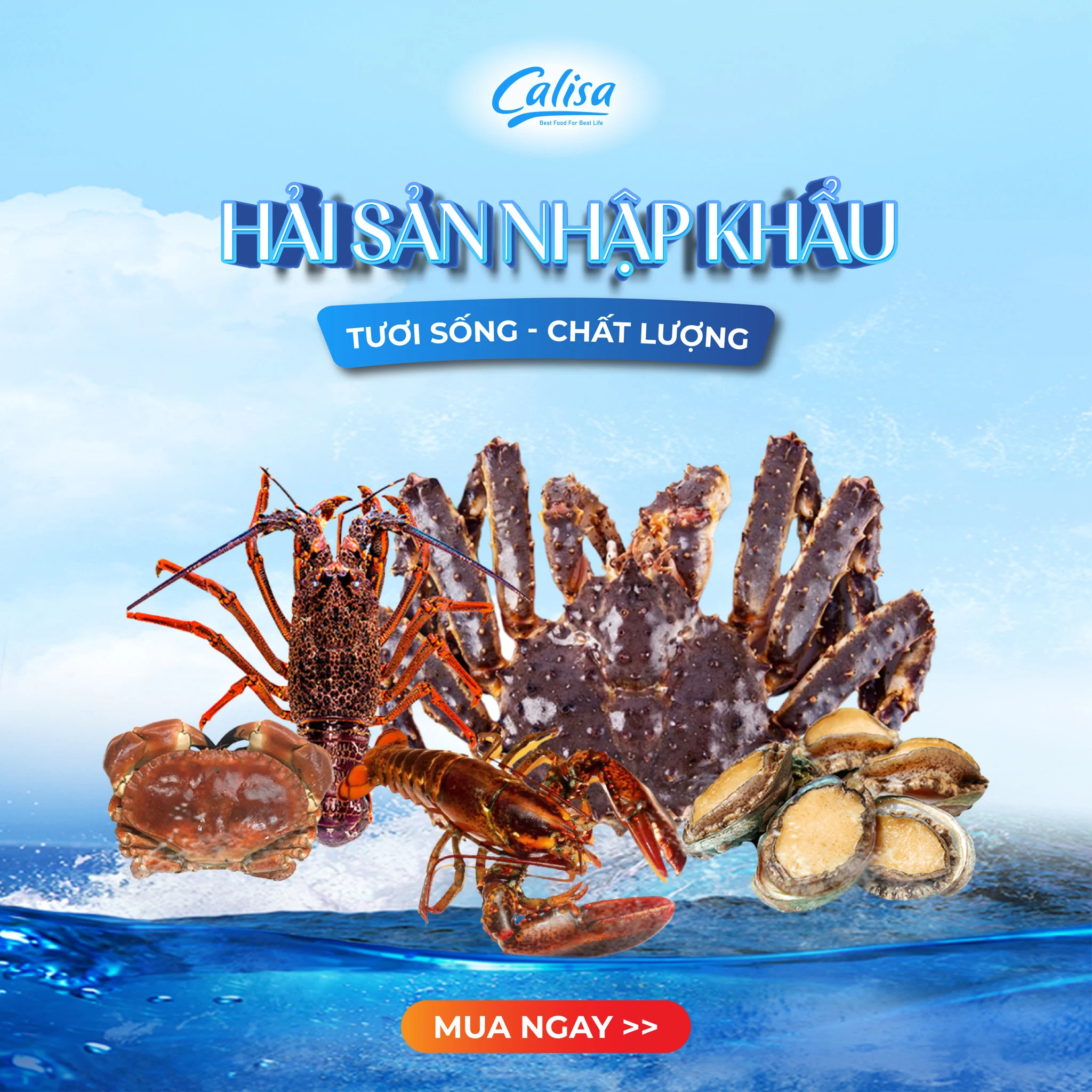 Calisa Foods - Thương Hiệu Hải Sản Nhập Khẩu Cao Cấp
