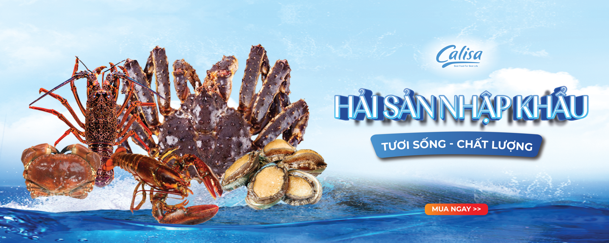 Calisa Foods