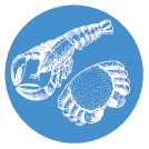 Danh mục sản phẩm