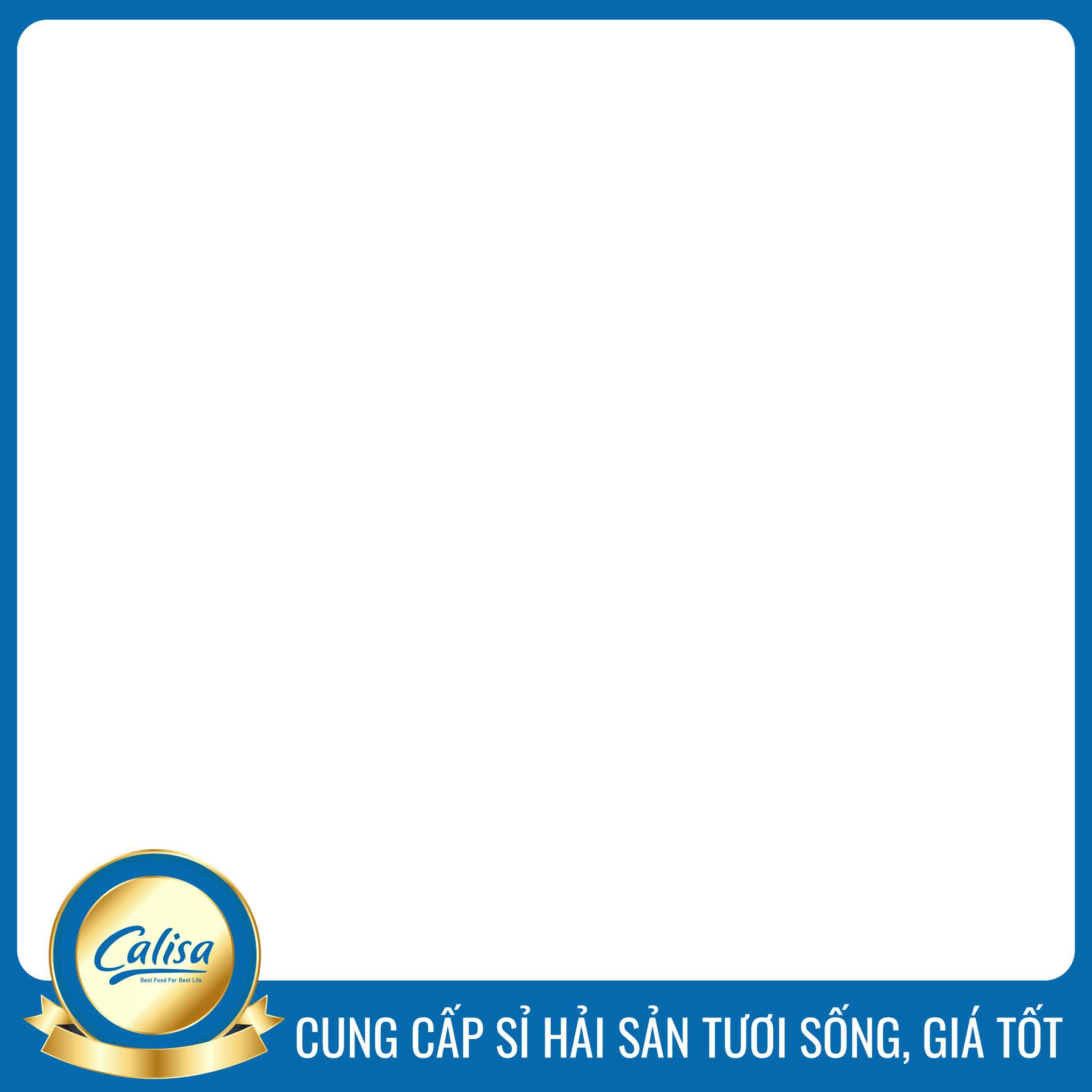 Cua hoàng đế Xanh - King Crab xanh