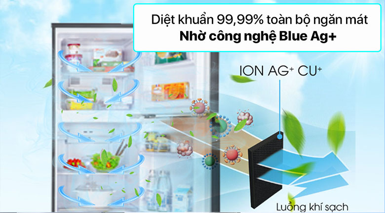 Tủ lạnh Panasonic Inverter 268 lít NR-TV301VGMV - Công nghệ Blue Ag+ Tủ lạnh Panasonic Inverter 268 lít NR-TV301VGMV - Công nghệ Blue Ag+