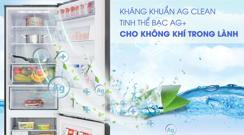 Công nghệ kháng khuẩn Ag Clean - Tủ lạnh Panasonic Inverter 322 lít NR-BC360QKVN Công nghệ kháng khuẩn Ag Clean - Tủ lạnh Panasonic Inverter 322 lít NR-BC360QKVN