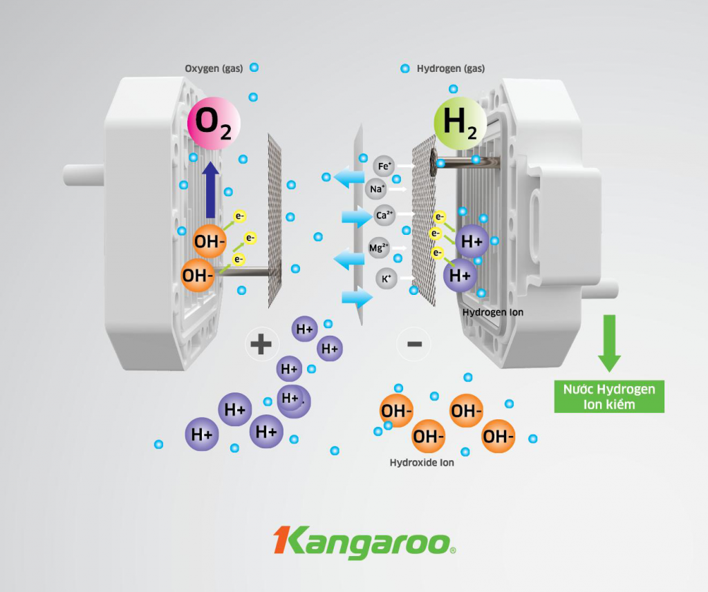 Máy lọc nước Kangaroo Hydrogen ion kiềm KG100EED IoT