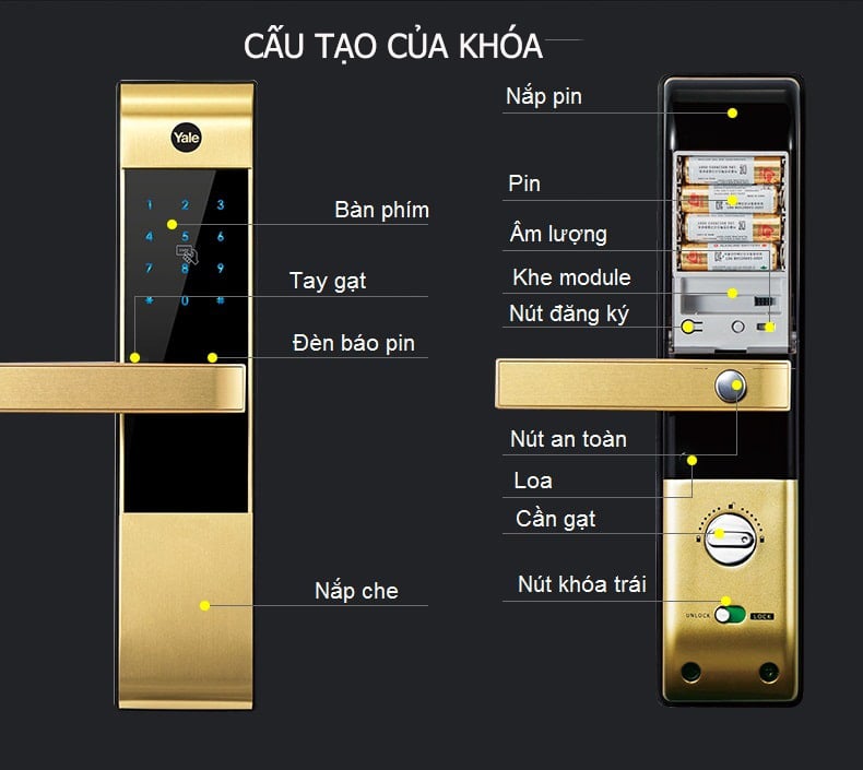 yale-3109-cau-tao