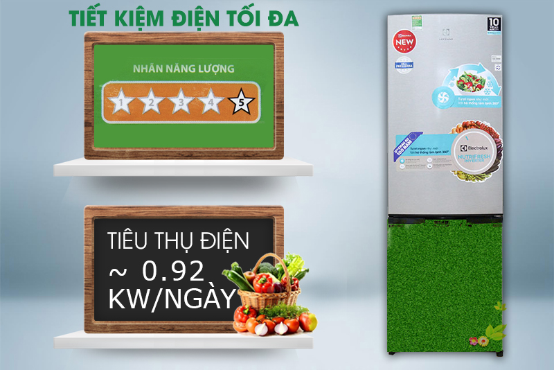 Tủ lạnh tiết kiệm điện tối đa Tủ lạnh tiết kiệm điện tối đa