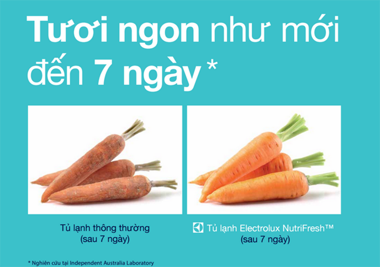 NutriFresh Inverter đem đến thời gian bảo quản thực phẩm hơn 7 ngày NutriFresh Inverter đem đến thời gian bảo quản thực phẩm hơn 7 ngày