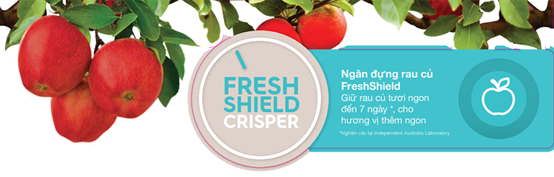Ngăn đựng rau củ Fresh Shield nâng thời gian bảo quản rau, củ, quả lên đến 7 ngày Ngăn đựng rau củ Fresh Shield nâng thời gian bảo quản rau, củ, quả lên đến 7 ngày
