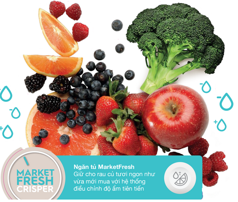 Market Fresh đi cùng với Fresh Shield giúp giữ độ ẩm thích hợp cho ngăn tủ rau quả Market Fresh đi cùng với Fresh Shield giúp giữ độ ẩm thích hợp cho ngăn tủ rau quả