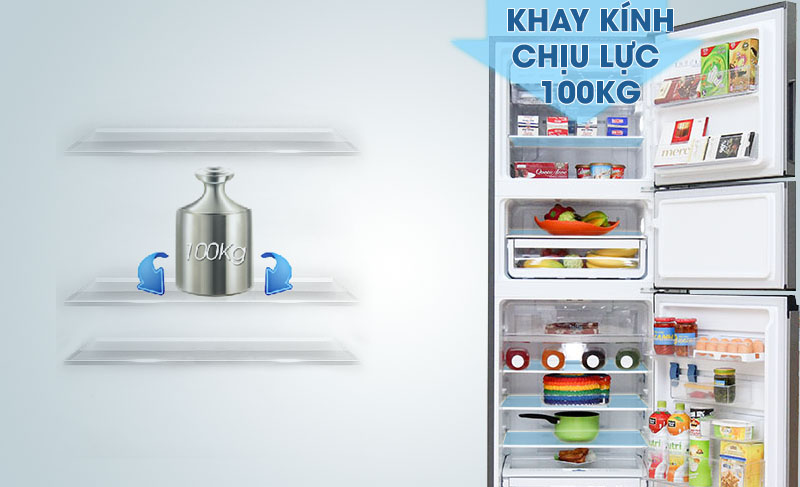 Thiết kế kệ kính chịu lực tiện lợi