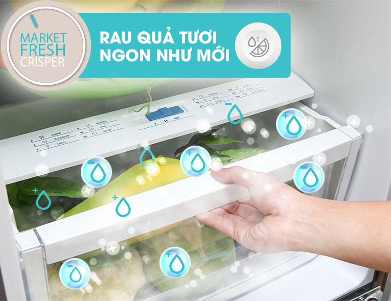 Ngăn đựng rau quả có điều chỉnh độ ẩm Market Fresh