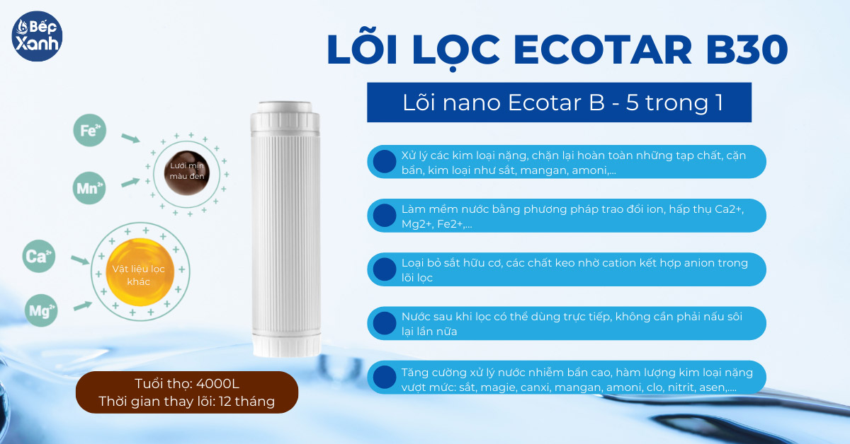 Lõi lọc Ecotar B30 của máy lọc Nano Geyser 3