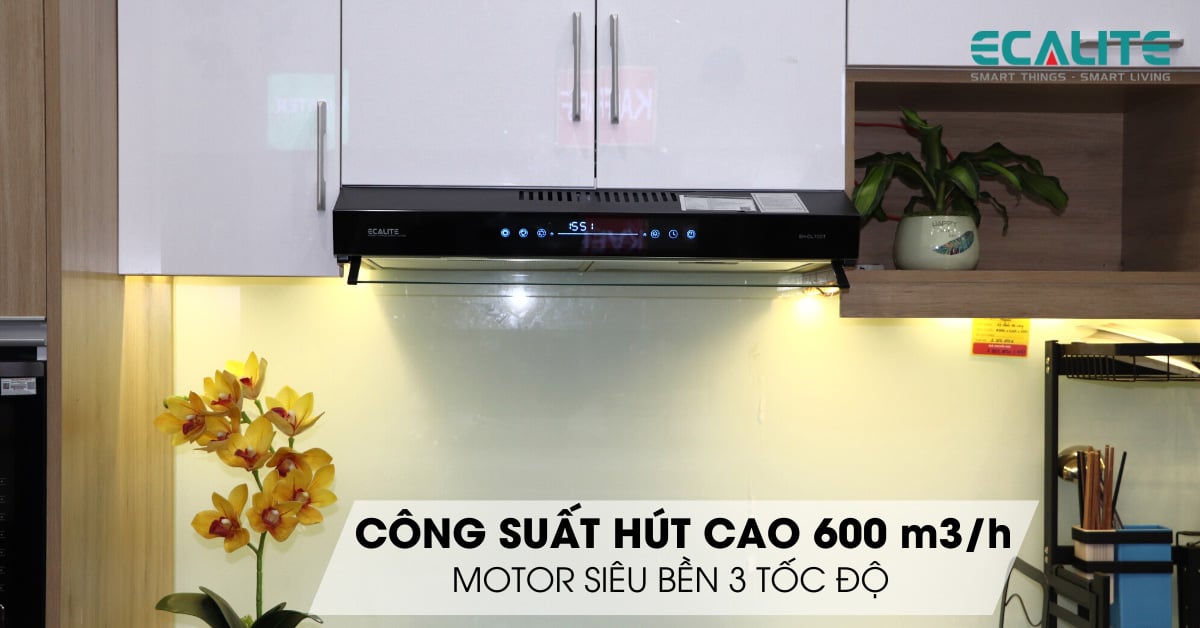 Công suất máy hút mùi classic EH-CL700T