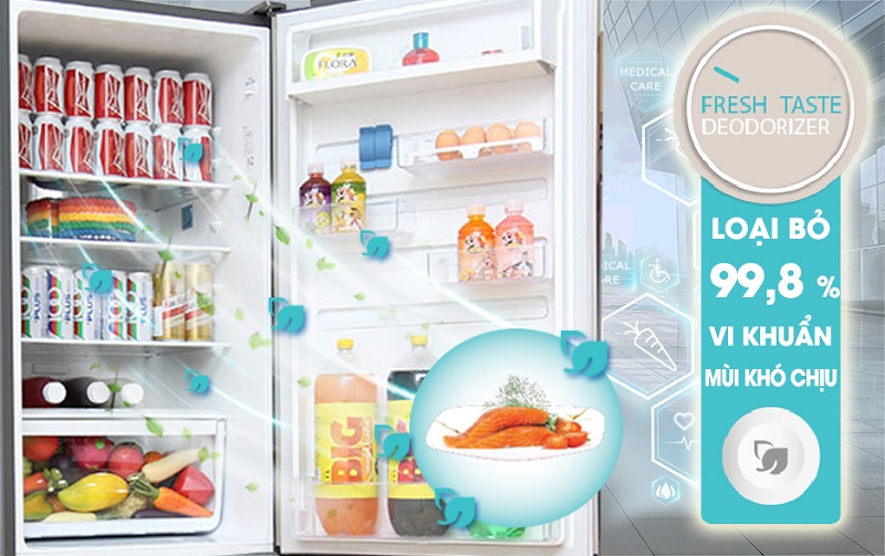 Tủ lạnh Electrolux EBE3500AG có công nghệ FreshTaste Tủ lạnh Electrolux EBE3500AG có công nghệ FreshTaste