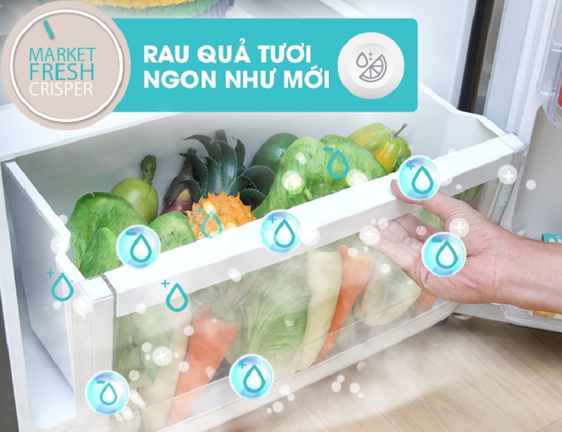 Ngăn bảo quả rau củ FreshMarket