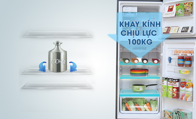 Tủ lạnh Electrolux ETB4602AA có khay thủy tinh chịu lực hiện đại bền bỉ