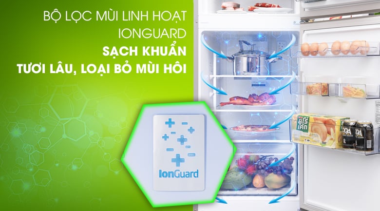 Công nghệ Ion Guard - Tủ lạnh Beko Inverter 230 lít RDNT251I50VWB Công nghệ Ion Guard - Tủ lạnh Beko Inverter 230 lít RDNT251I50VWB