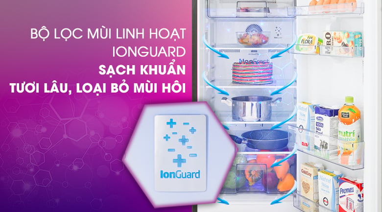 Ion Guard