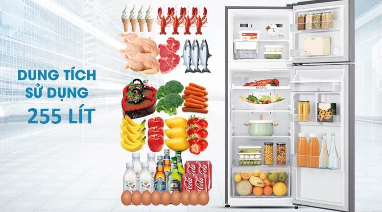 Dung tích 255 lít - Tủ lạnh LG Inverter 255 lít GN-D255BL Dung tích 255 lít - Tủ lạnh LG Inverter 255 lít GN-D255BL