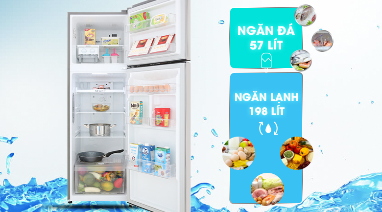 Dung tích sử dụng 255 lít - Tủ lạnh LG Inverter 255 lít GN-M255PS Dung tích sử dụng 255 lít - Tủ lạnh LG Inverter 255 lít GN-M255PS