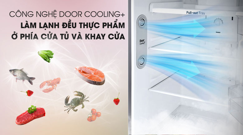 Công nghệ DoorCooling+ - Tủ lạnh LG Inverter 255 lít GN-M255PS Công nghệ DoorCooling+ - Tủ lạnh LG Inverter 255 lít GN-M255PS
