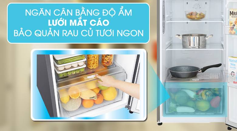 Ngăn rau quả lưới mắt cáo - Tủ lạnh LG Inverter 255 lít GN-M255PS Ngăn rau quả lưới mắt cáo - Tủ lạnh LG Inverter 255 lít GN-M255PS