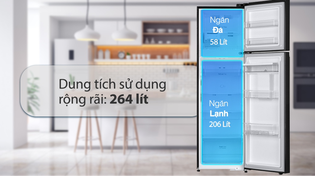 Tủ lạnh LG Inverter 264 Lít GV-D262BL - Ngăn lạnh và ngăn đá Tủ lạnh LG Inverter 264 Lít GV-D262BL - Ngăn lạnh và ngăn đá