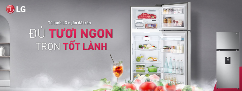 Tủ Lạnh LG Inverter 314 Lít GN-D312PS