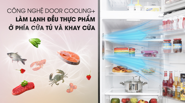 Tủ lạnh LG Inverter 393 lít GN-L422GB - Công nghệ Door Cooling Tủ lạnh LG Inverter 393 lít GN-L422GB - Công nghệ Door Cooling