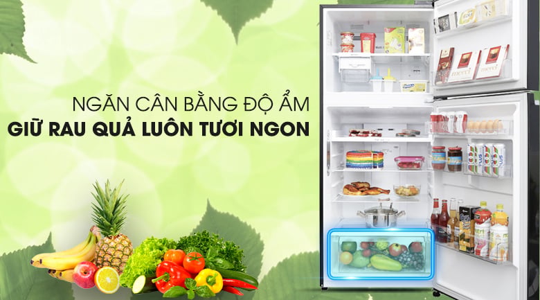 Tủ lạnh LG Inverter 393 lít GN-L422GB - Ngăn cân bằng độ ẩm Tủ lạnh LG Inverter 393 lít GN-L422GB - Ngăn cân bằng độ ẩm