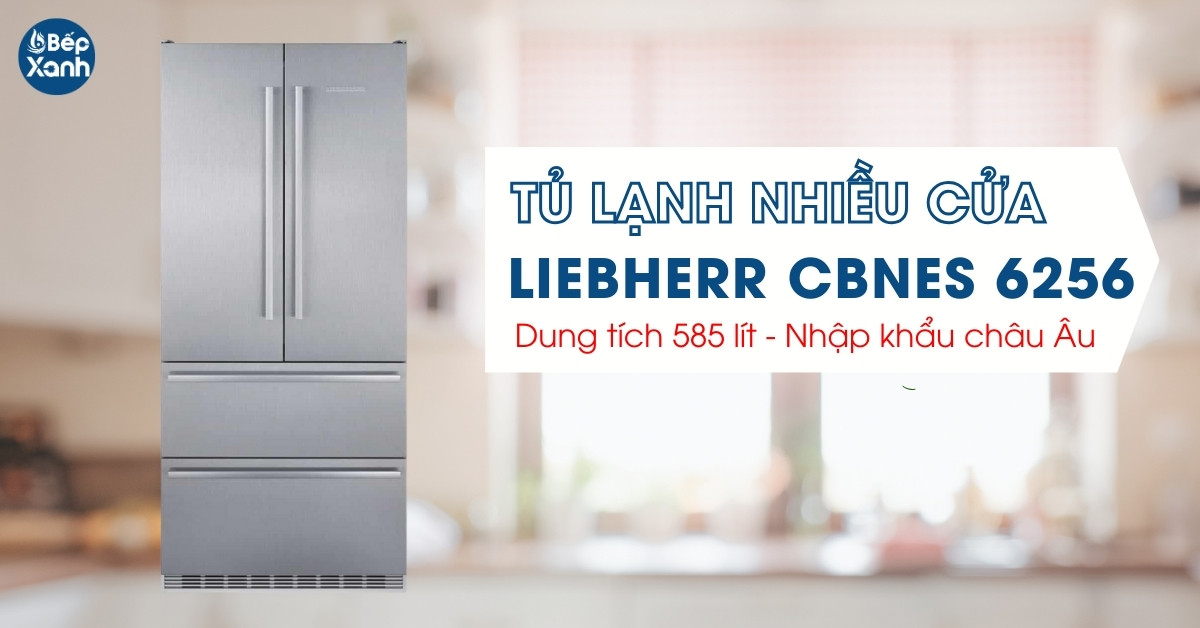 Tủ lạnh Liebherr CBNes 6256