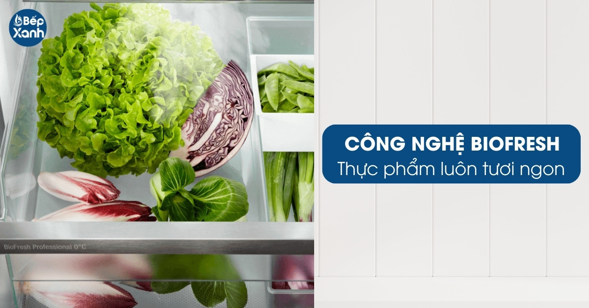 Tủ lạnh Liebherr CBNes 6256 tính năng Biofresh