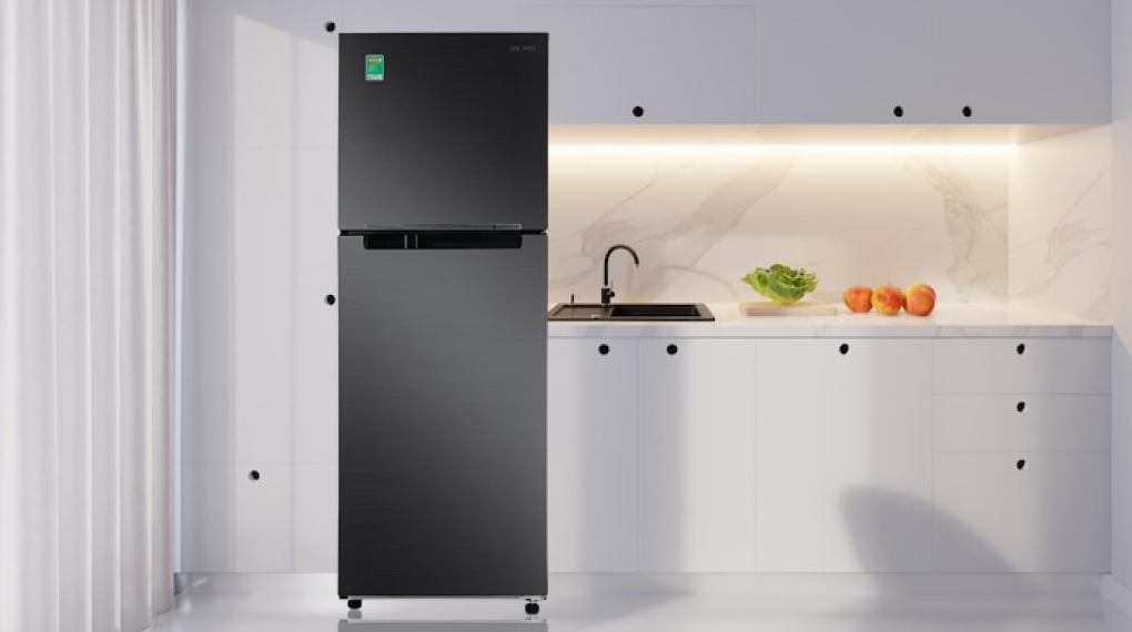 Tủ lạnh Samsung Inverter 302 Lít RT29K503JB1/SV - Tổng quan thiết kế Tủ lạnh Samsung Inverter 302 Lít RT29K503JB1/SV - Tổng quan thiết kế