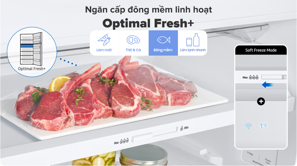 Tủ lạnh Samsung Inverter 305 lít RT31CB56248ASV - Ngăn cấp đông mềm linh hoạt Optimal Fresh+ Tủ lạnh Samsung Inverter 305 lít RT31CB56248ASV - Ngăn cấp đông mềm linh hoạt Optimal Fresh+
