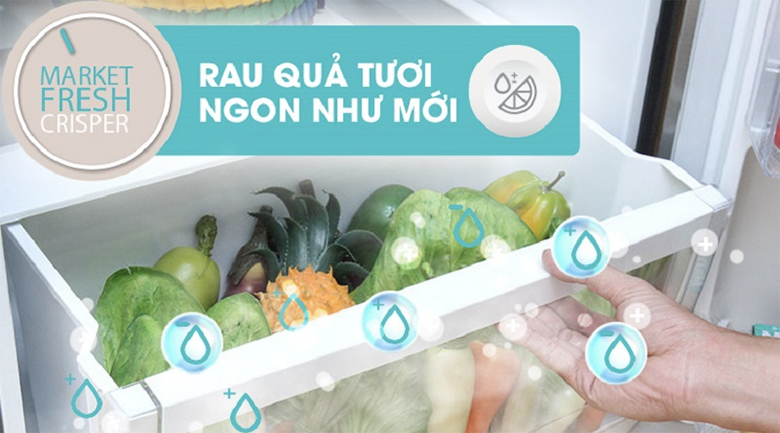 Ngăn rau củ FreshMarket - Tủ lạnh Electrolux Inverter 318 lít ETB3200MG