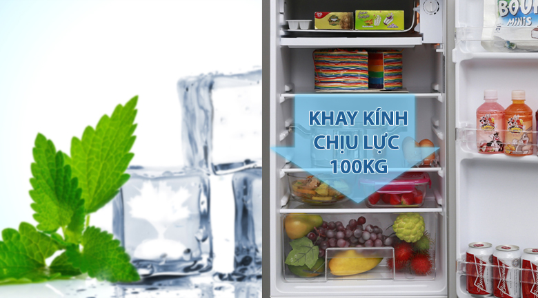 Khay kính chịu - Tủ lạnh Electrolux 92 lít EUM0900SA