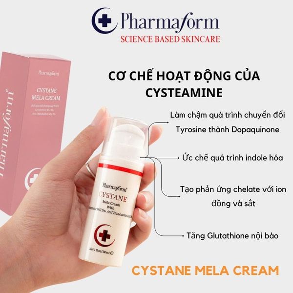 𝗖𝗼̛ 𝗰𝗵𝗲̂́ 𝗰𝘂̉𝗮 𝗖𝘆𝘀𝘁𝗲𝗮𝗺𝗶𝗻𝗲 𝘁𝗿𝗼𝗻𝗴 𝗵𝗼̂̃ 𝘁𝗿𝗼̛̣ đ𝗶𝗲̂̀𝘂 𝘁𝗿𝗶̣ 𝗻𝗮́𝗺