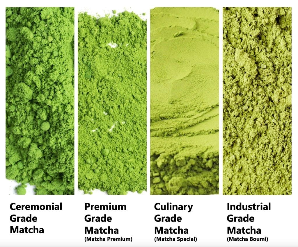 cac-loai-tra-matcha-pho-bien-va-cach-phan-biet