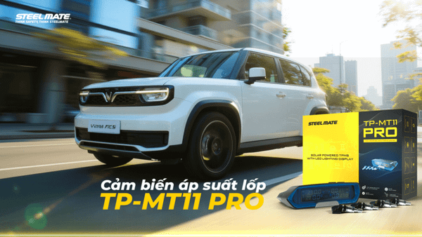 Cảm biến áp suất lốp VF3