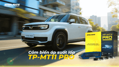 Cảm biến áp suất lốp VF3