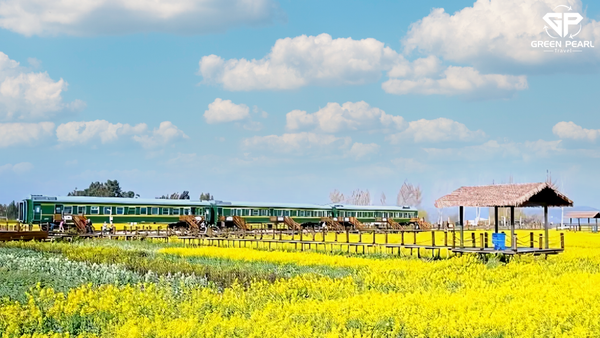 CÔN MINH – LÀNG HOA CẢI DẦU CÁT ĐÊ – VỊNH PHƯỢNG LONG – HỒ ĐIỀN TRÌ (4N4D)